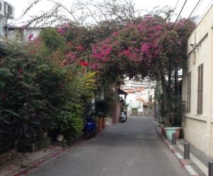 Best Shopping Neve Tzedek