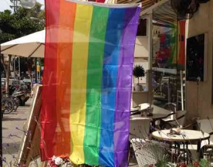 Gay flag