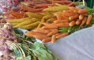 Farmers Market Tel Aviv