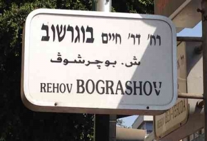 Bograshov- Urban life - street sign 1